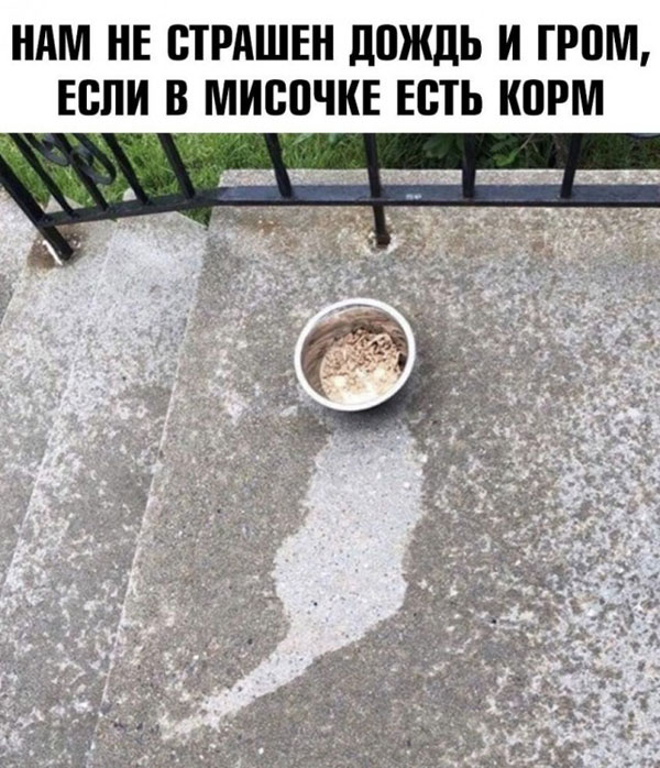 Картинки. Легкие, как воздух внутри баянов)