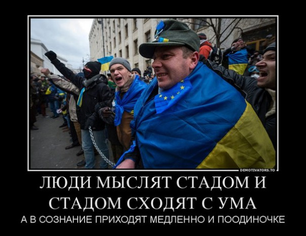 В подмосковном Талдоме нашли девочку-маугли. Шестилетний ребёнок жил с 19 кошками