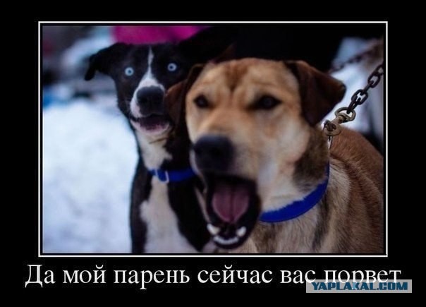 Вышел муж и разобрался