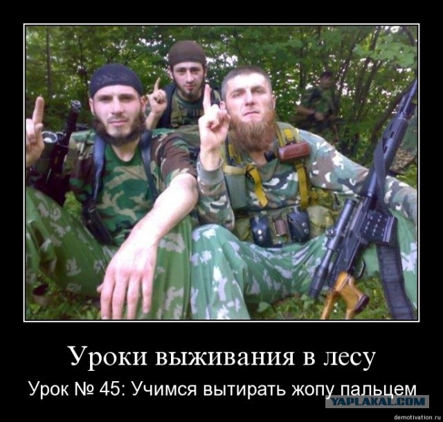 Немного о толерантности...