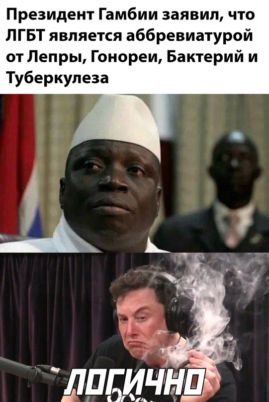 Весёлый полтишок 8.06.21