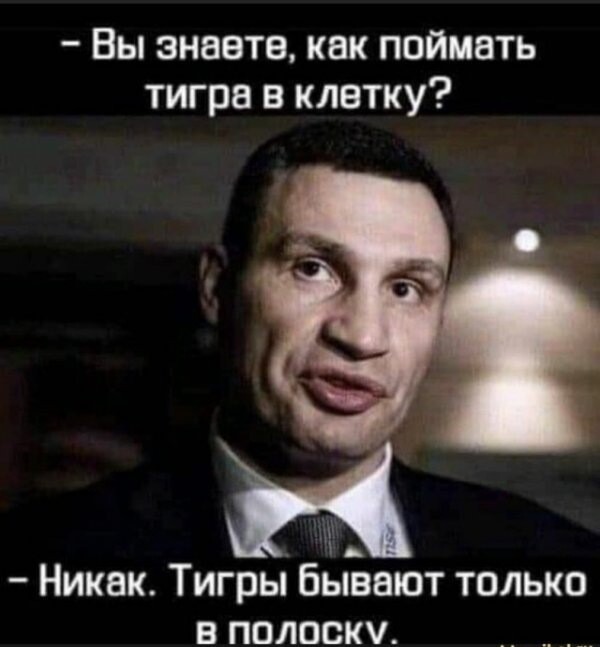 Баянисто-небаянистый юмор 2.02.22