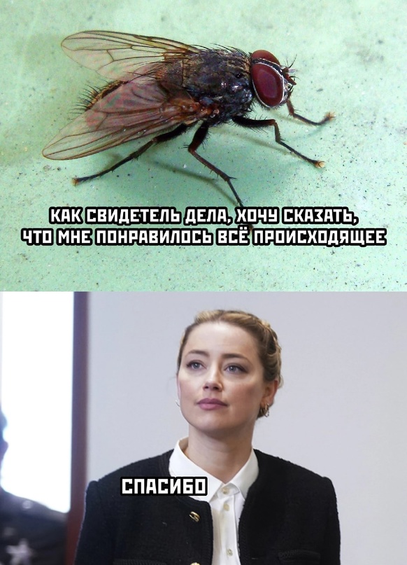 Картинки и мемы для настроения - 29