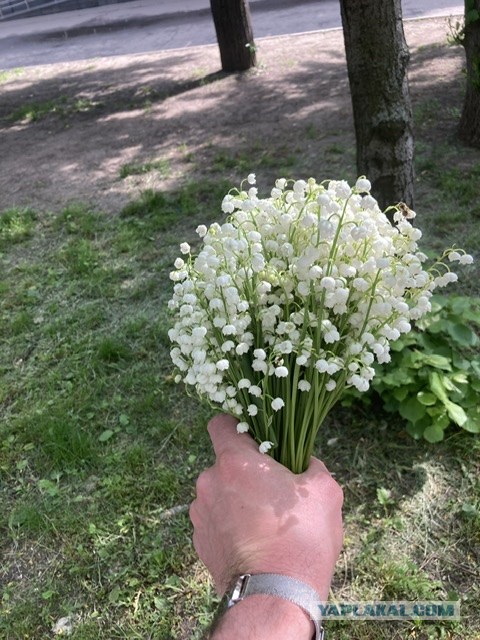 Существует ли магия и как на самом деле действует порча⁠⁠