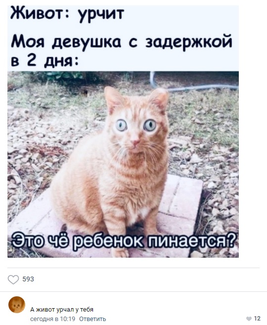 Картинки и мемы для настроения - 27