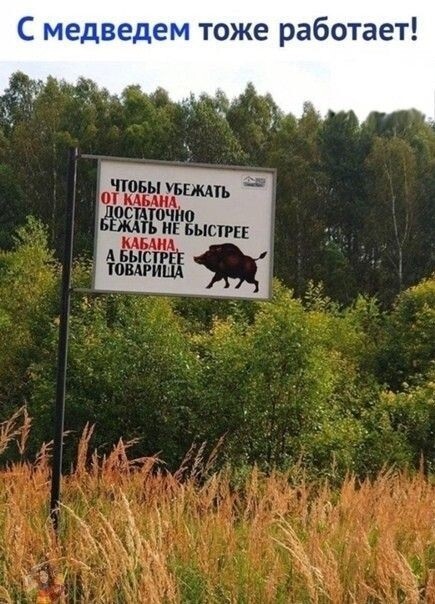Юмор в картинках и без