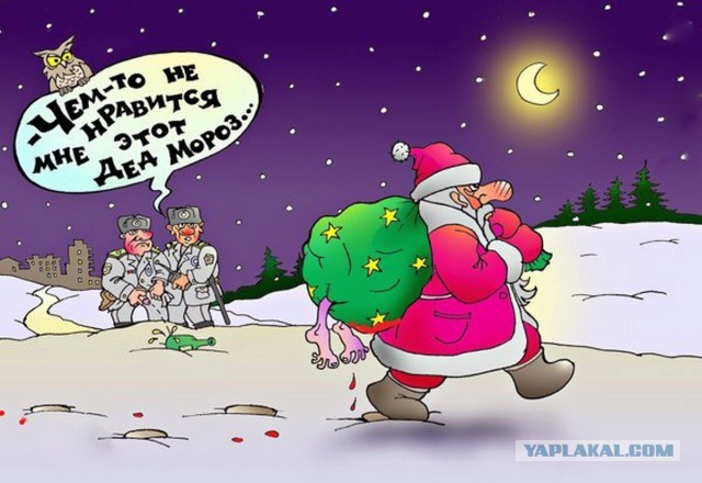 Так себе картинки 25.12.22