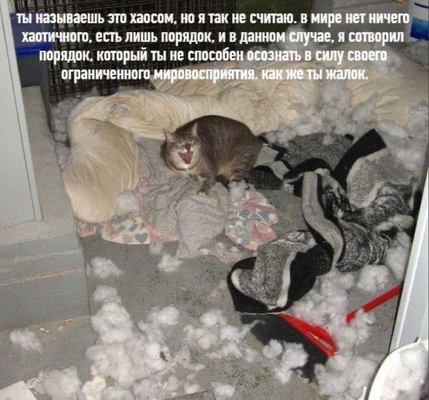 Так себе картинки 28.01.23