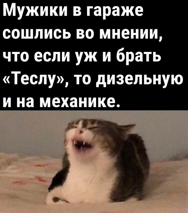 Так себе картинки 17.06.23
