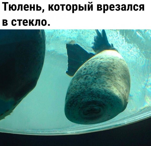 Набрел на склад баянов. Налетай