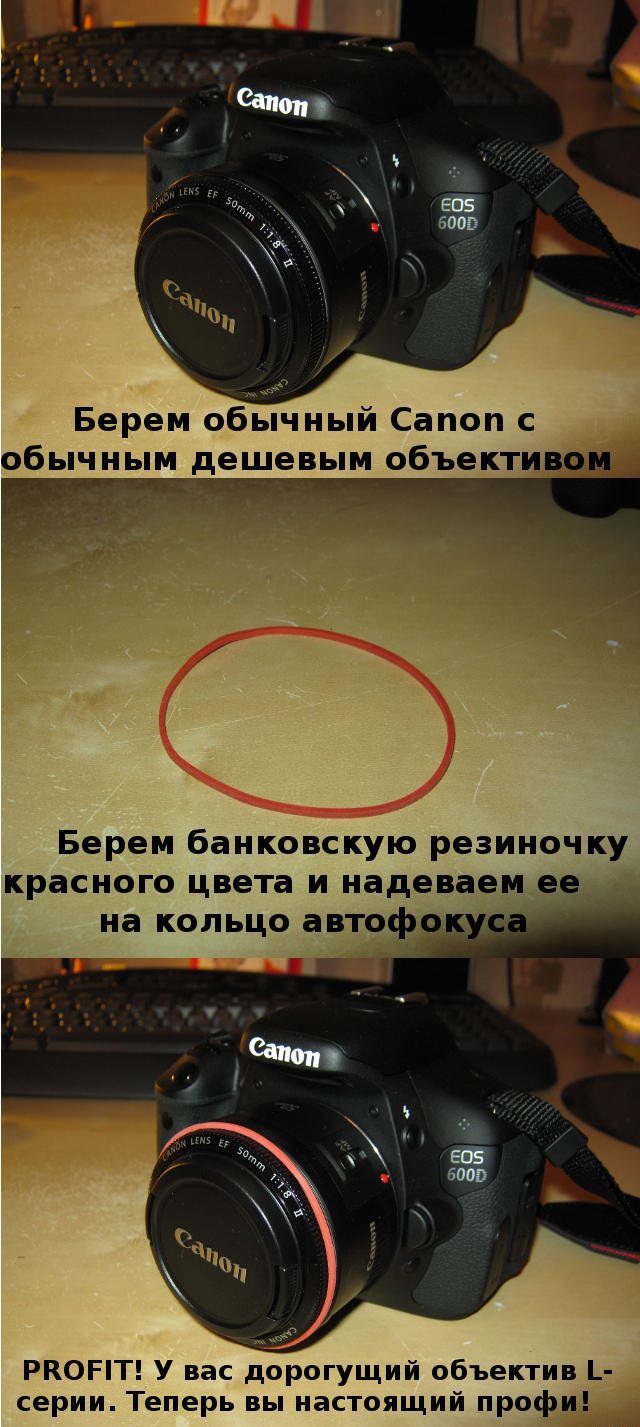 Canon или Nikon?