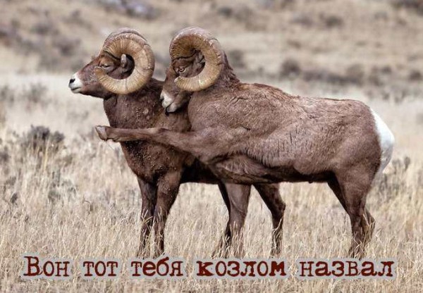 Пятничные картинки 19.01.2024