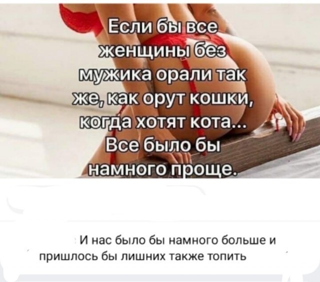 Так себе картинки 17.02.24