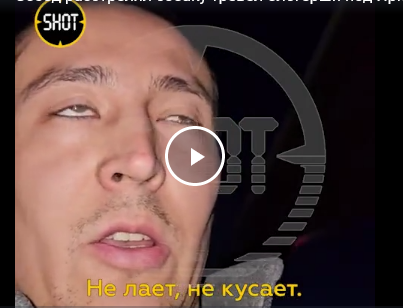 Сосед расстрелял собаку тревел-блогерши под Иркутском.