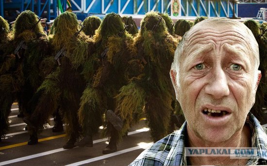 Кто шагает дружно в ряд?