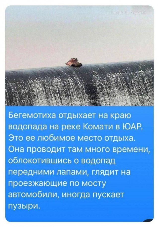 Всего понемногу. От 20.05.2024
