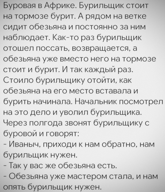 Шимпанзе уже вступили в ранний каменный век