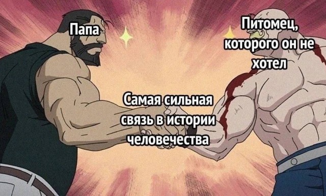 Всего понемногу. От 22.07.24