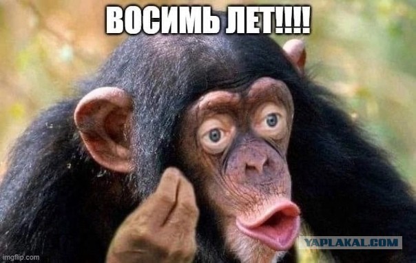 Соратники к вам обращаюсь...