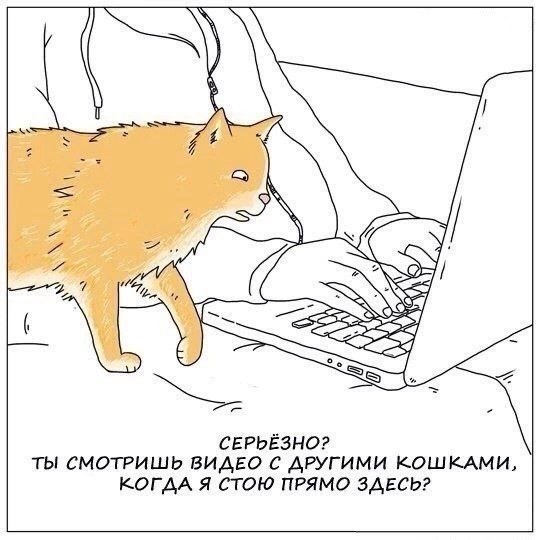 Так себе картинки 16.10.24