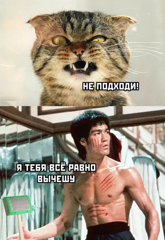Картинки разные с надписями и без