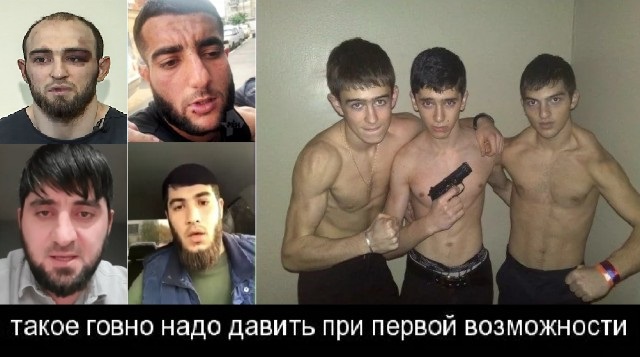 Обочечники-мигранты устанавливают свои порядки