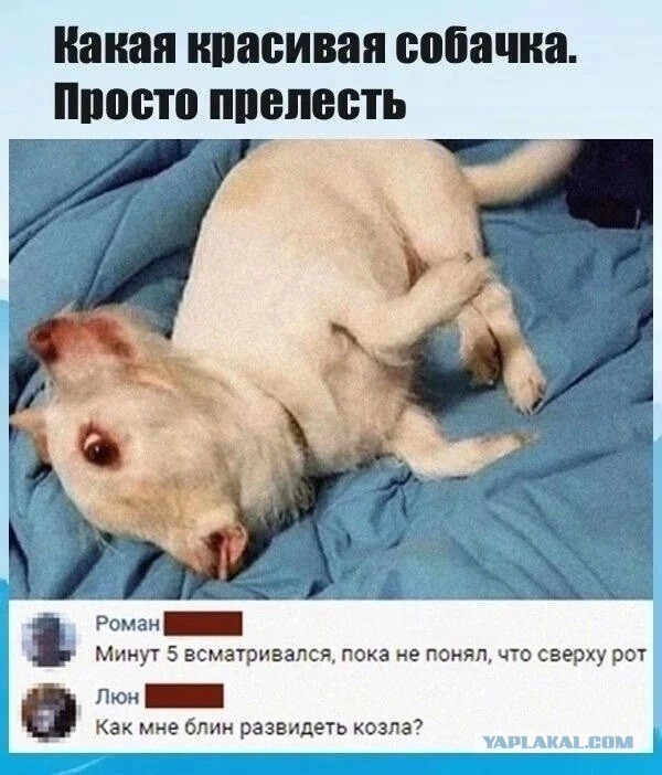 Завалялось тут случайно немного забавных картинок
