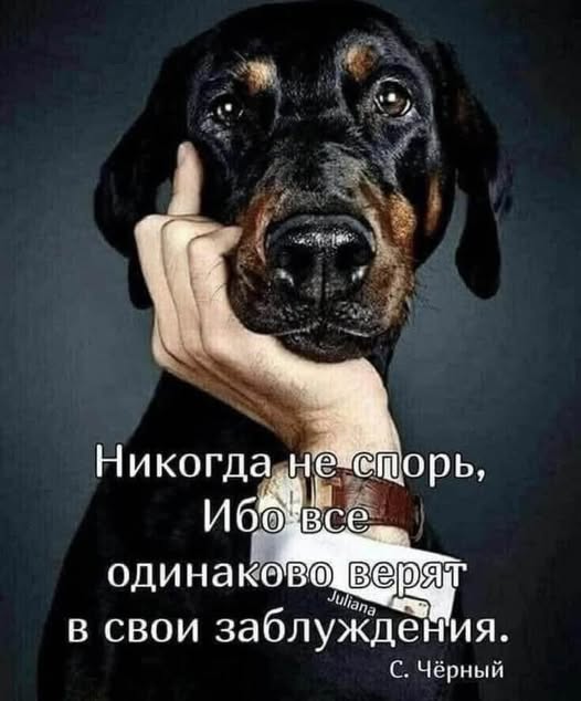 Воскресные картинки