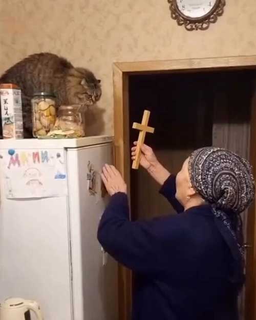Сотоны кусок