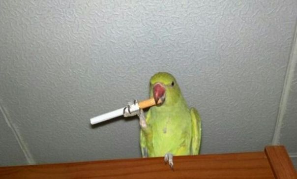 Ты где?!