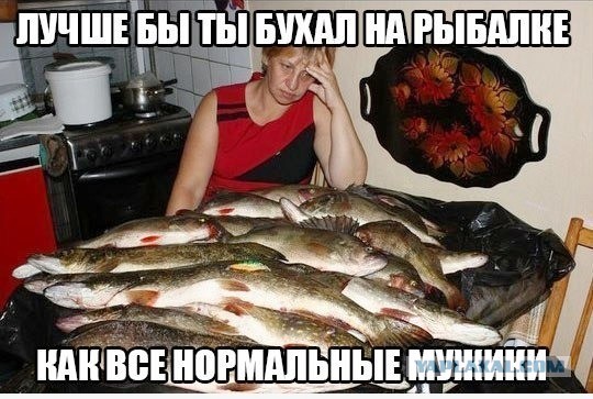 Вот и пришла осень..