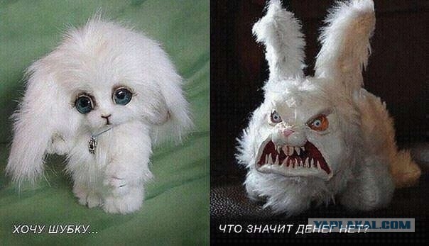 Мужчинам нужен только секс?