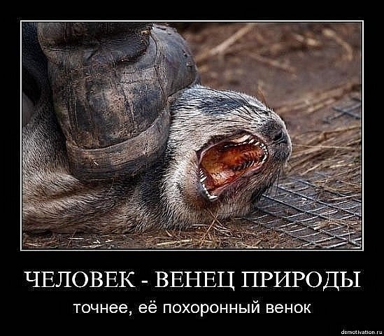 У меня радость!