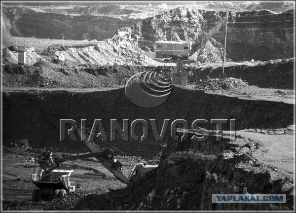 Визуализируем свои Дни Рождения