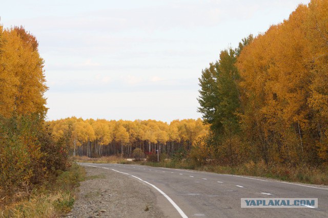 Сухой суперджет 100, Комсомольск-на-Амуре