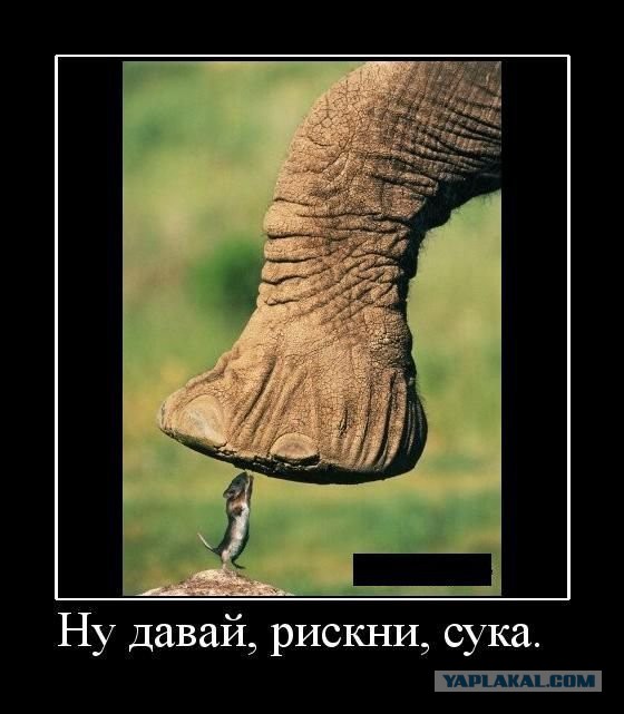Демотиваторы.