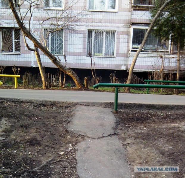 Фотографии с мобильного телефона