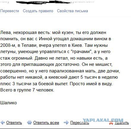 Луганск: о чем думал пилот?