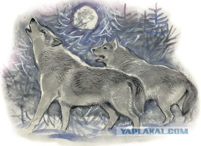 То, чего мы боимся …