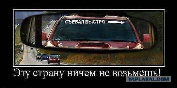Немного позитива на пятницу.