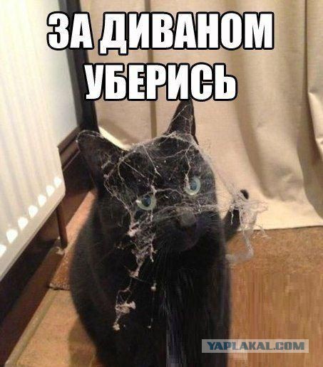 С миру по нитке. Демотиваторов чуть