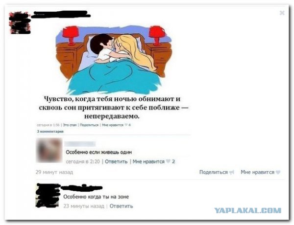 Свежие смешные комментарии из социальных сетей