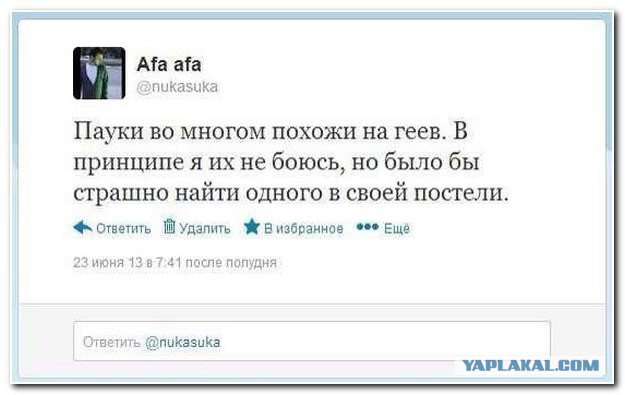 Смешные комментарии из социальных сетей