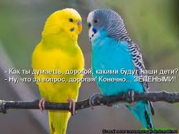 Чёрт, чёрт, чёрт!