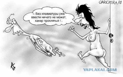 Как хакер построила бизнес за счет банков