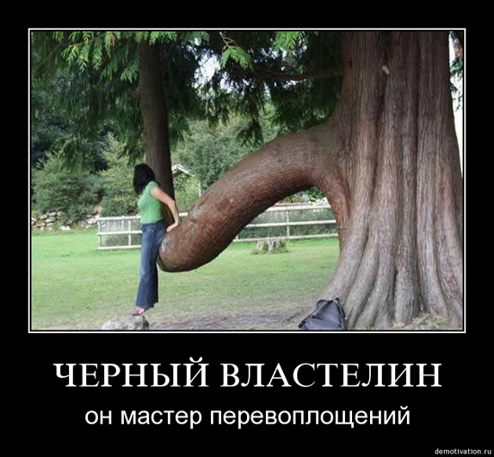 Чуть не накололись с покупкой дома