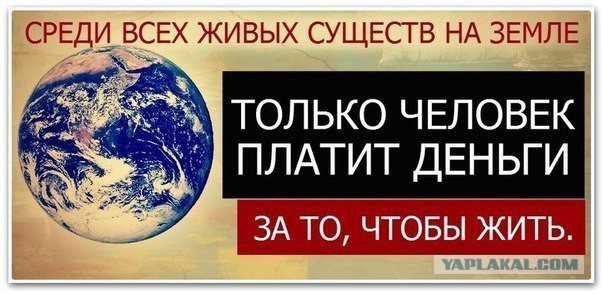 Вот оно че, Михалыч...