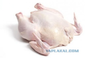 Греча или Гречка?