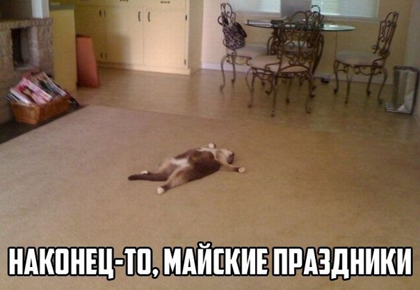 Смешные комментарии из социальных сетей 01.05.15