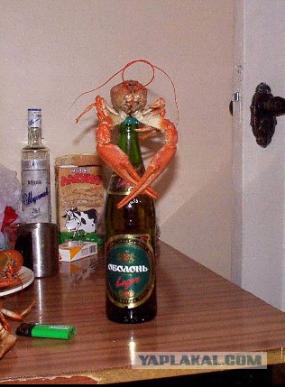 Решили мы как-то попить Пыва с раками!